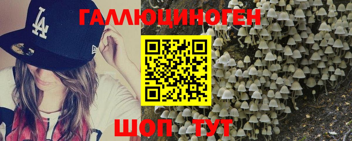 Галлюциногенные грибы Psilocybine cubensis Заринск