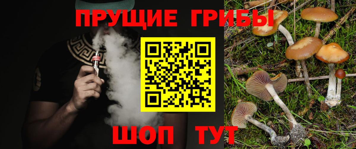 Псилоцибиновые грибы мицелий  Вход с VPN  Заринск  Галлюциногенные грибы мухоморы 