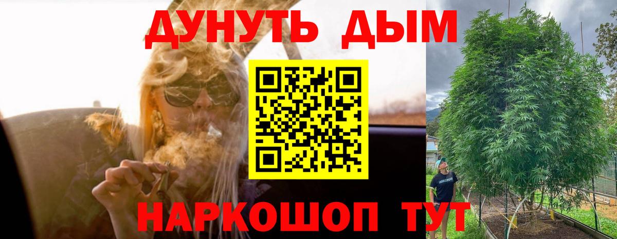 Заринск  Бошки марихуана индика  Вход с VPN  Марихуана сатива 